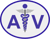Advanced In Vitro