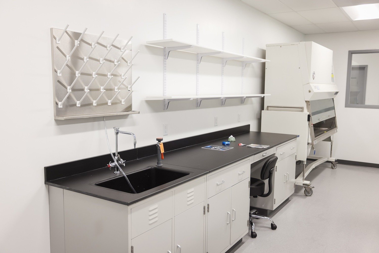 Lab 6